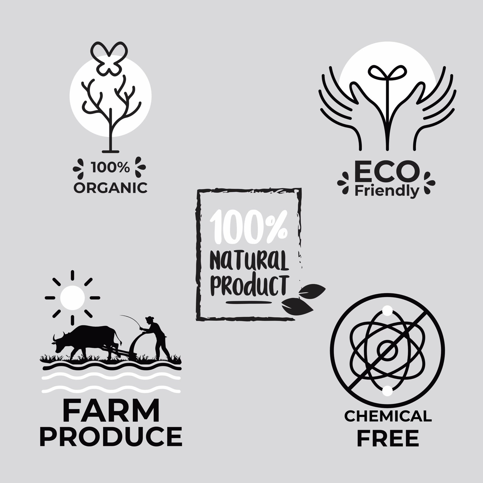 Himaearth Organic Chia Seeds for Eating, Rich in Calcium, Protein & Fibre, Seeds for Weight Management - Image 6