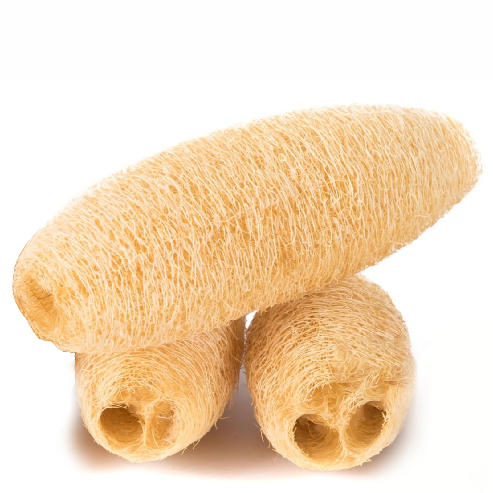Himaearth Organic Body Scrub Natural Loofah From Sponge for Bathing. Natural Sun Dried Bath Loofah | for Men & Women | Organic Luffa for Bath Shower Skin Exfoliation Pack of 3 | Size : 15-20 Cms Long