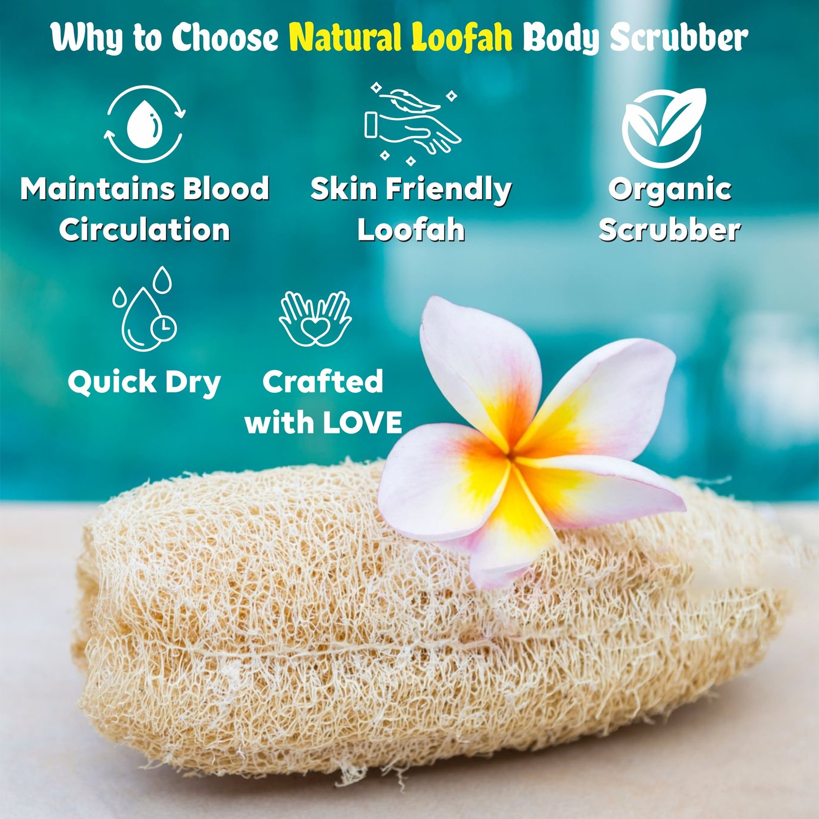 Himaearth Organic Body Scrub Natural Loofah From Sponge for Bathing. Natural Sun Dried Bath Loofah | for Men & Women | Organic Luffa for Bath Shower Skin Exfoliation Pack of 3 | Size : 15-20 Cms Long - Image 6