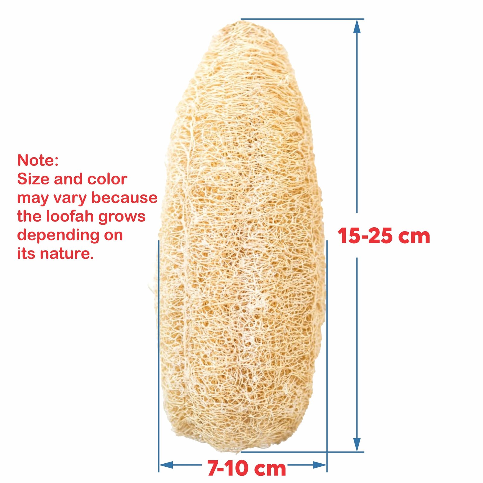 Himaearth Organic Body Scrub Natural Loofah From Sponge for Bathing. Natural Sun Dried Bath Loofah | for Men & Women | Organic Luffa for Bath Shower Skin Exfoliation Pack of 3 | Size : 15-20 Cms Long - Image 3