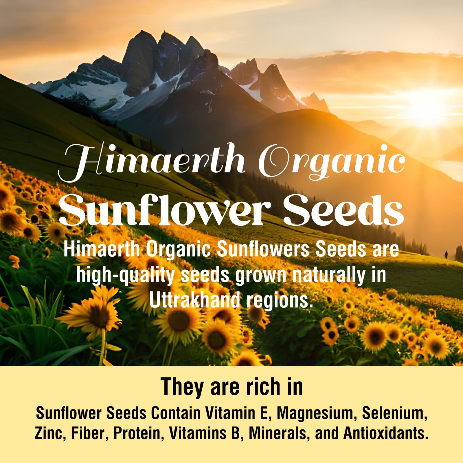 Himaearth Organic Natural Raw Sunflower Seeds for Eating, Source of Vitamins, Protein & Magnesium Antioxidants, Surajmukhi Seeds - Image 5