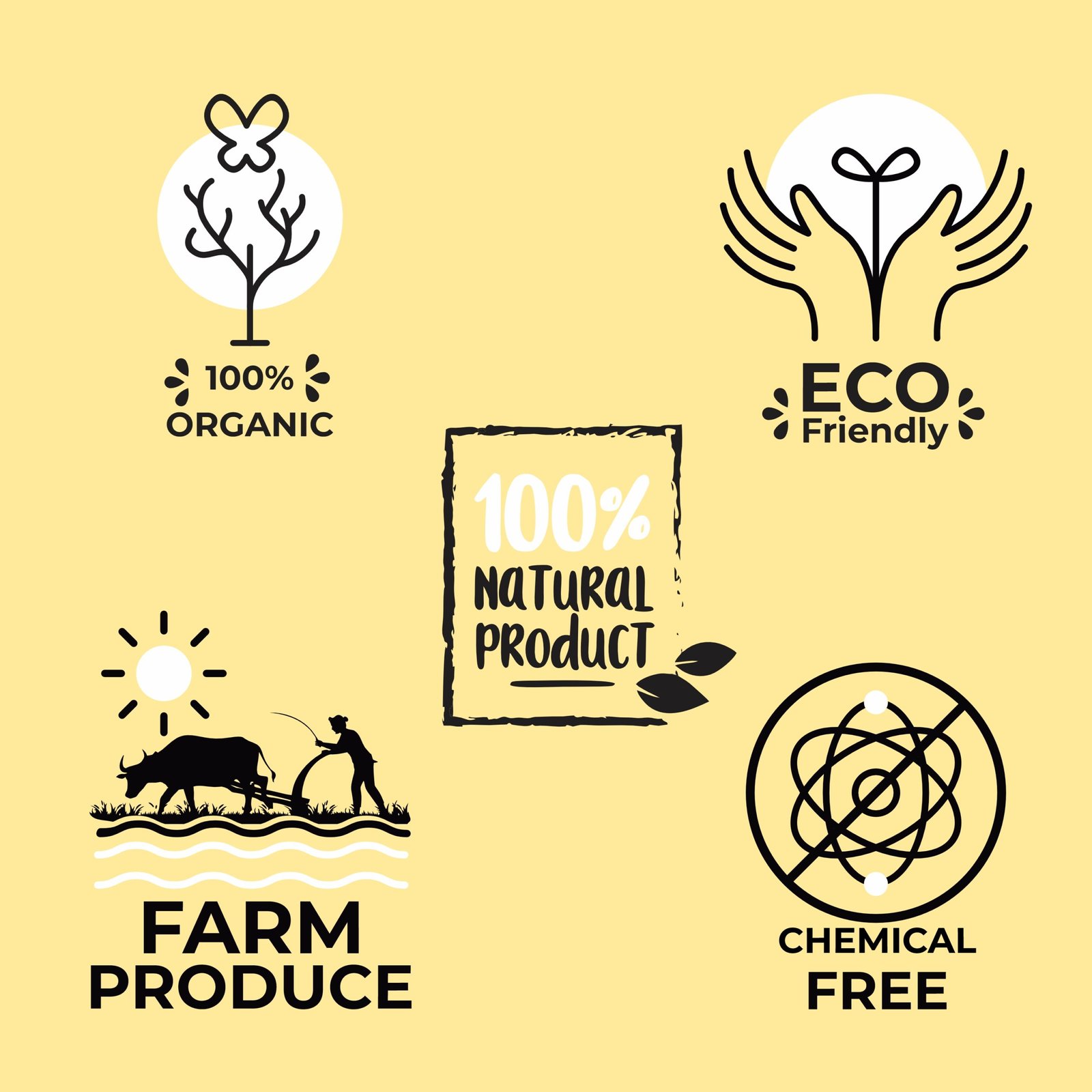 Himaearth Organic Natural Raw Sunflower Seeds for Eating, Source of Vitamins, Protein & Magnesium Antioxidants, Surajmukhi Seeds - Image 2