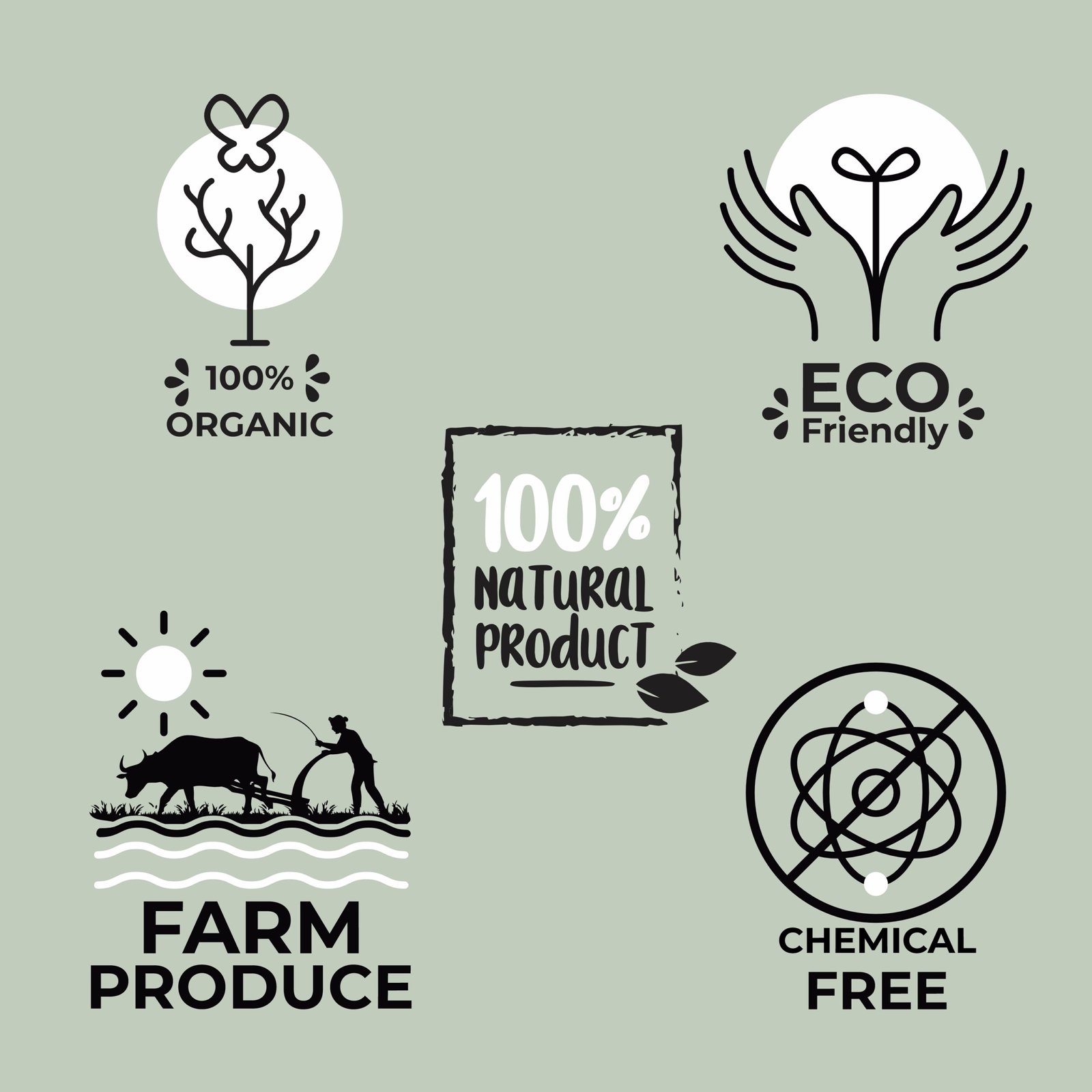 Himaearth Organic White Sesame Raw Seeds, From Uttarakhand Hills, 100% Natural Seeds, Edible Seeds, white til - Image 3